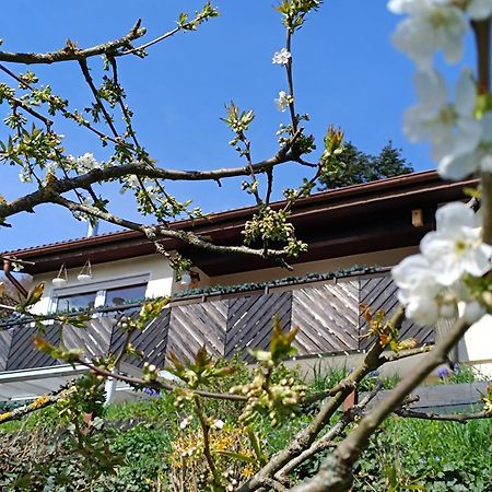 Ferienwohnung Zum Maerchenwald Bergfreiheit Экстерьер фото