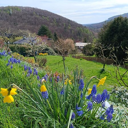Ferienwohnung Zum Maerchenwald Bergfreiheit Экстерьер фото