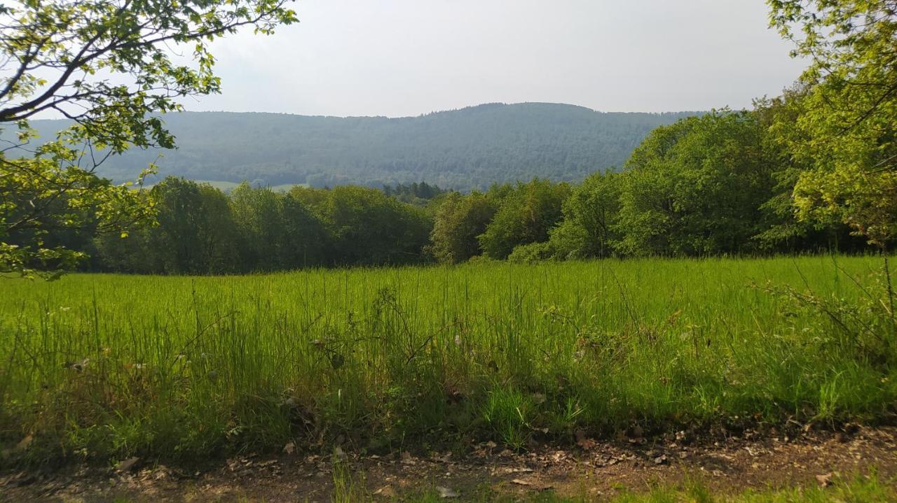 Ferienwohnung Zum Maerchenwald Bergfreiheit Экстерьер фото