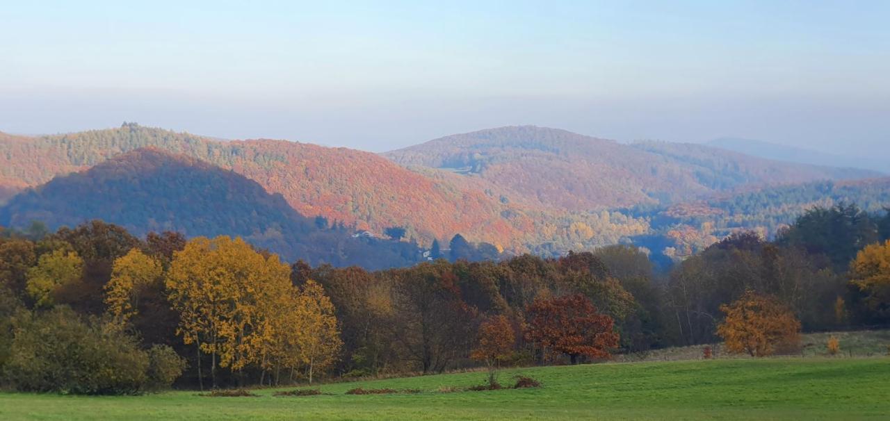 Ferienwohnung Zum Maerchenwald Bergfreiheit Экстерьер фото