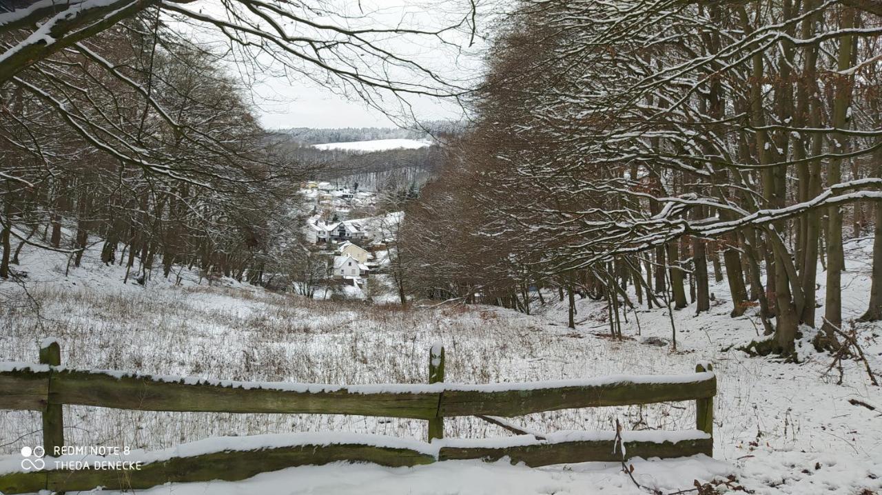 Ferienwohnung Zum Maerchenwald Bergfreiheit Экстерьер фото