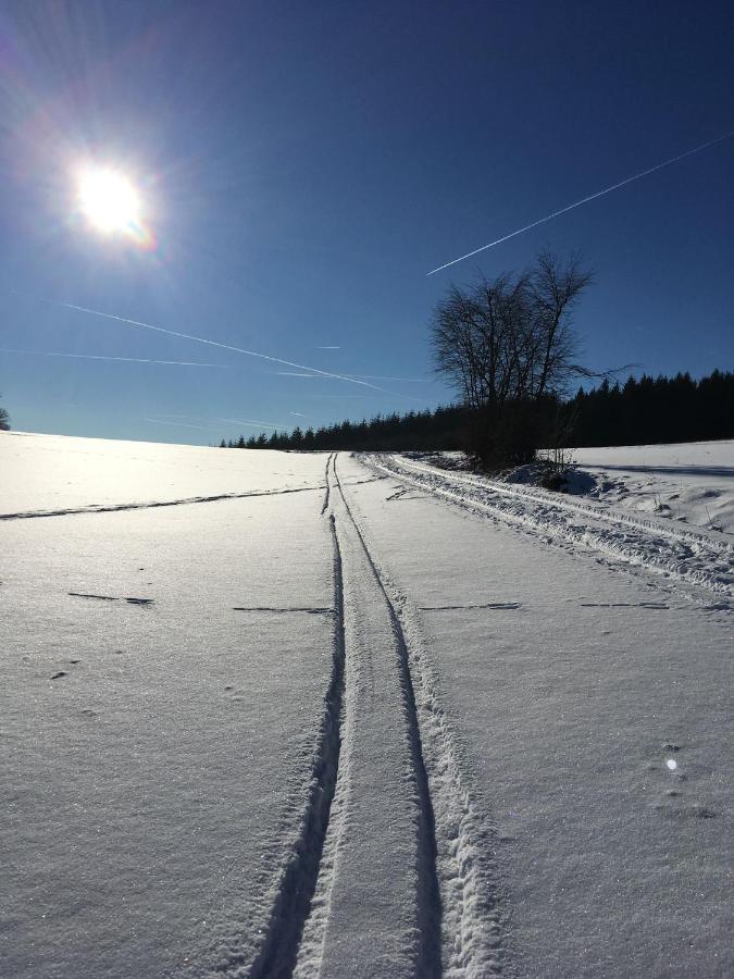 Ferienwohnung Zum Maerchenwald Bergfreiheit Экстерьер фото