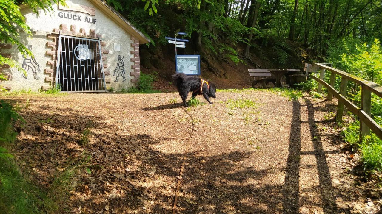 Ferienwohnung Zum Maerchenwald Bergfreiheit Экстерьер фото