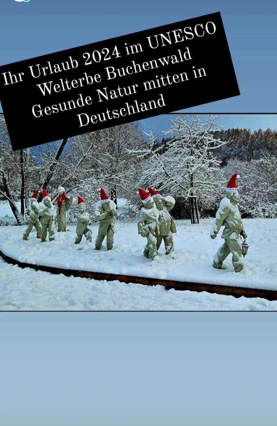 Ferienwohnung Zum Maerchenwald Bergfreiheit Экстерьер фото
