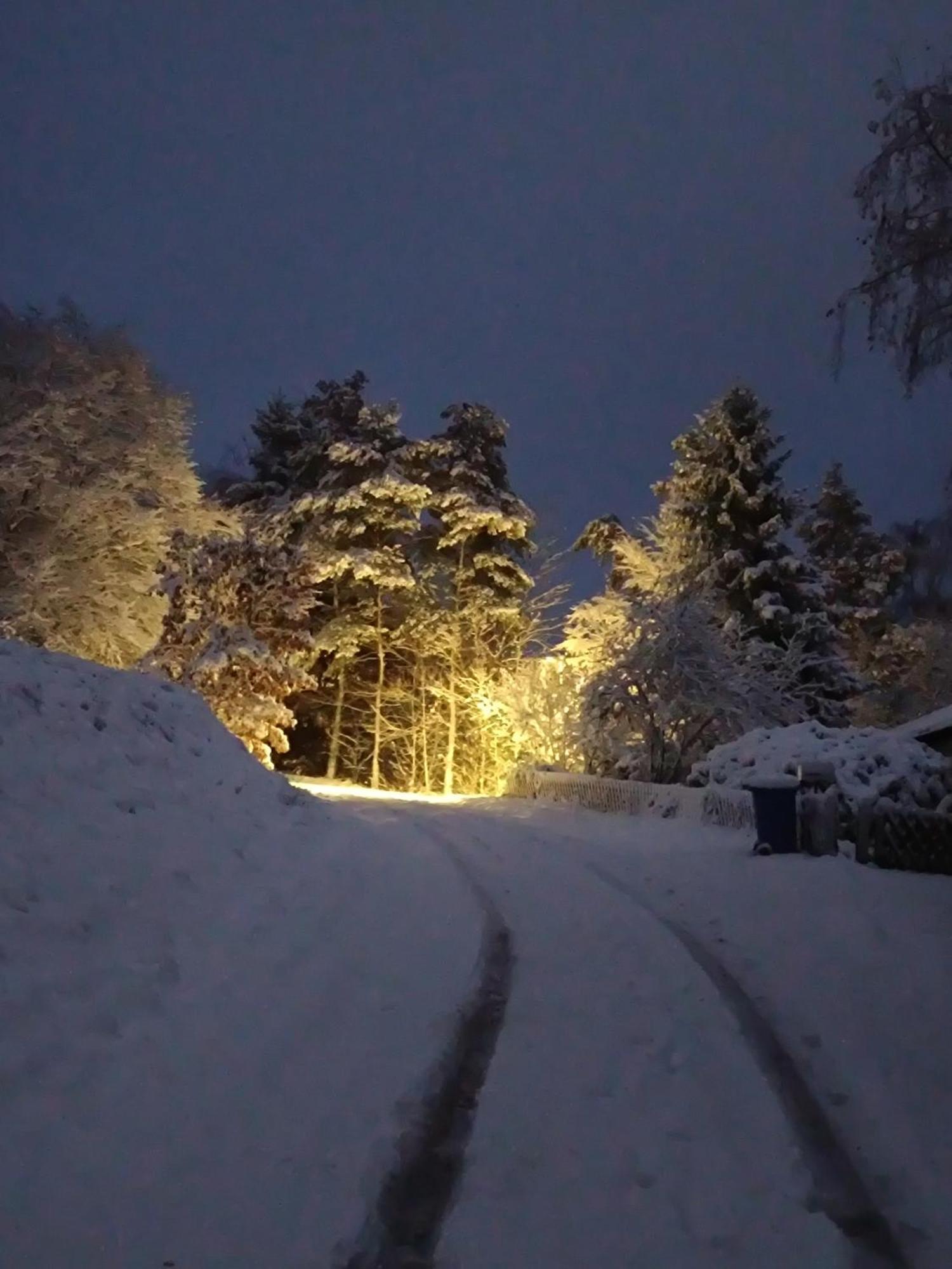 Ferienwohnung Zum Maerchenwald Bergfreiheit Экстерьер фото