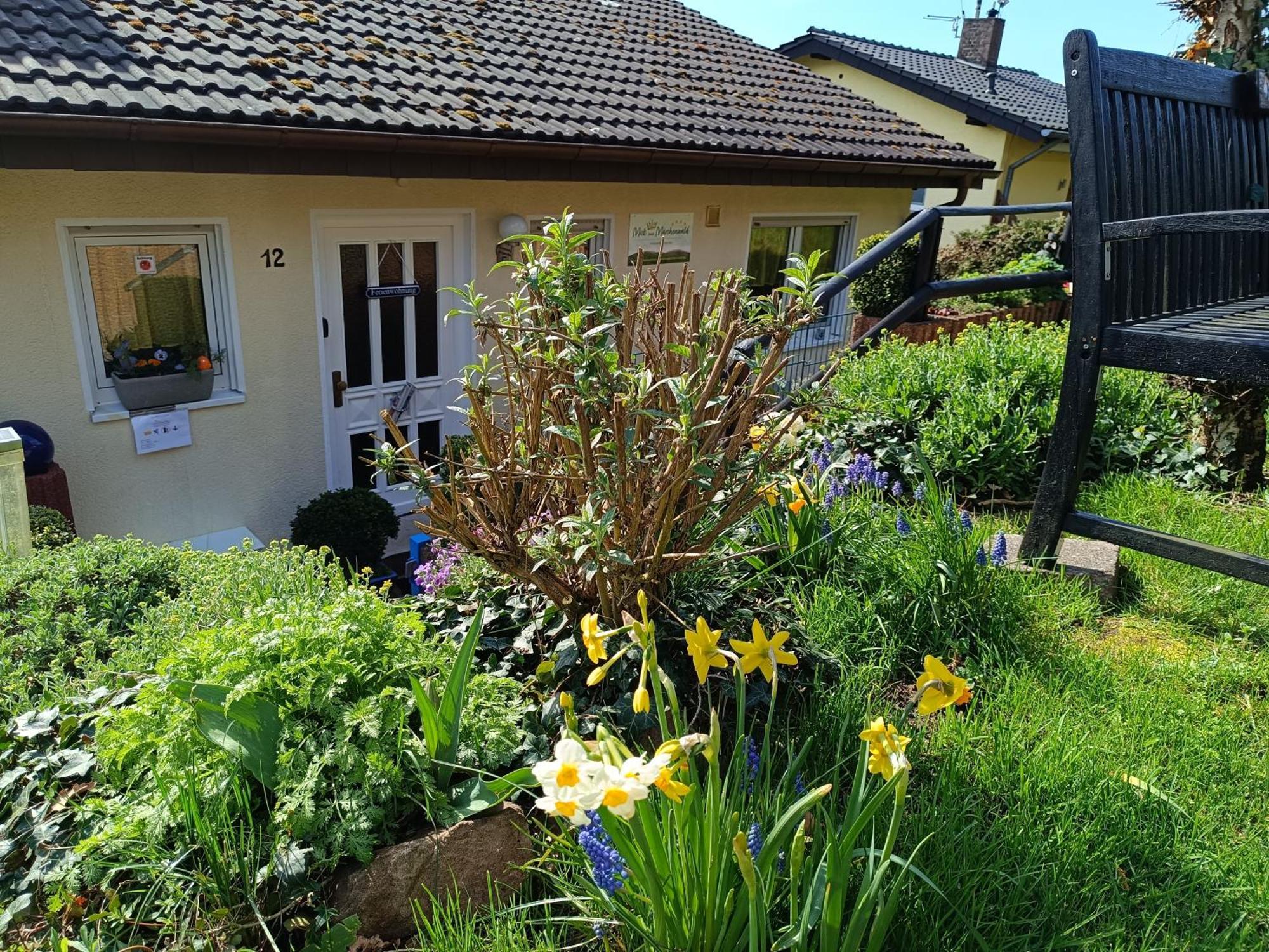 Ferienwohnung Zum Maerchenwald Bergfreiheit Экстерьер фото