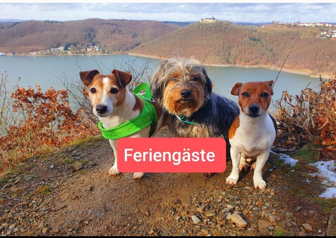 Ferienwohnung Zum Maerchenwald Bergfreiheit Экстерьер фото