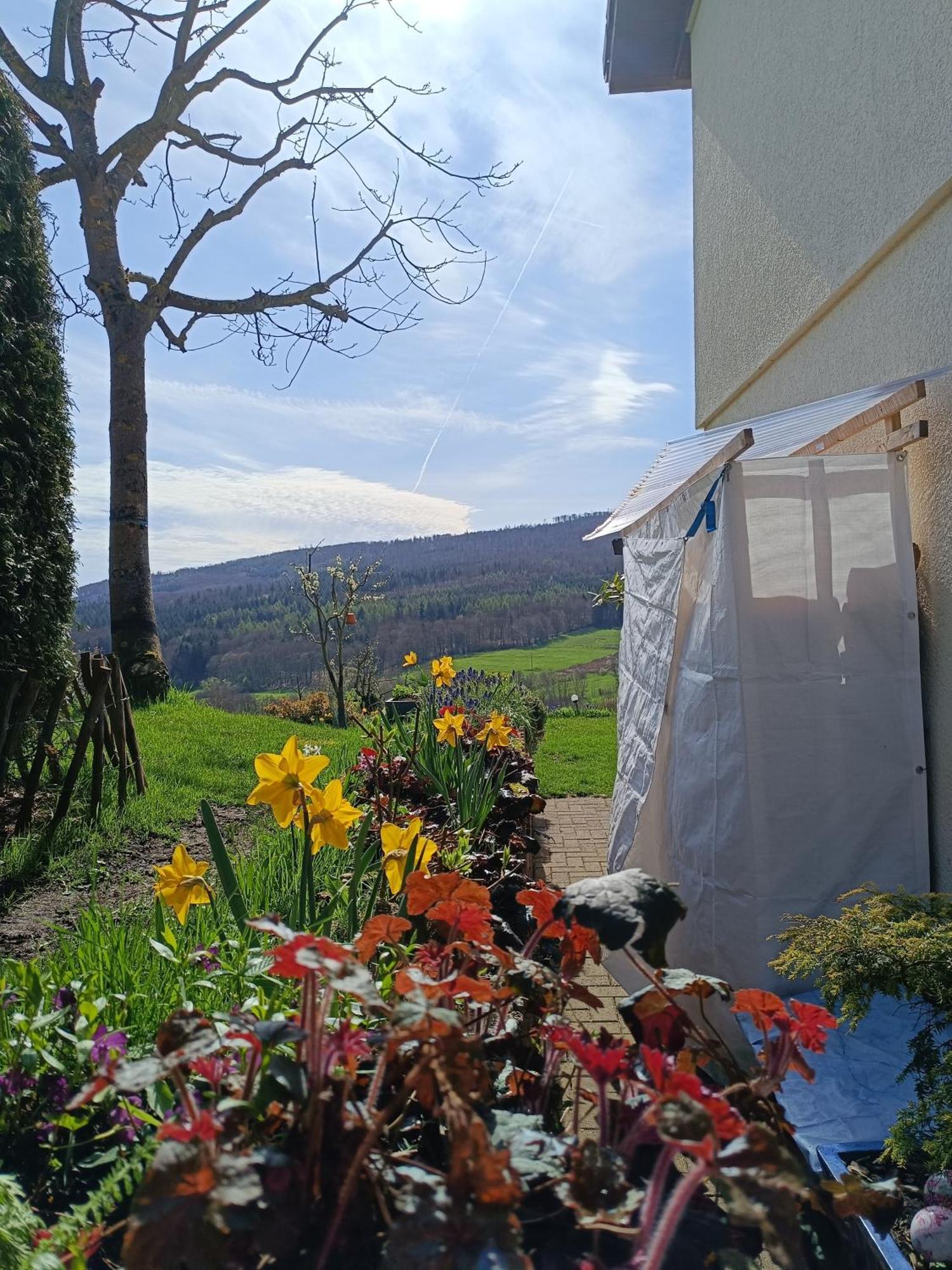 Ferienwohnung Zum Maerchenwald Bergfreiheit Экстерьер фото