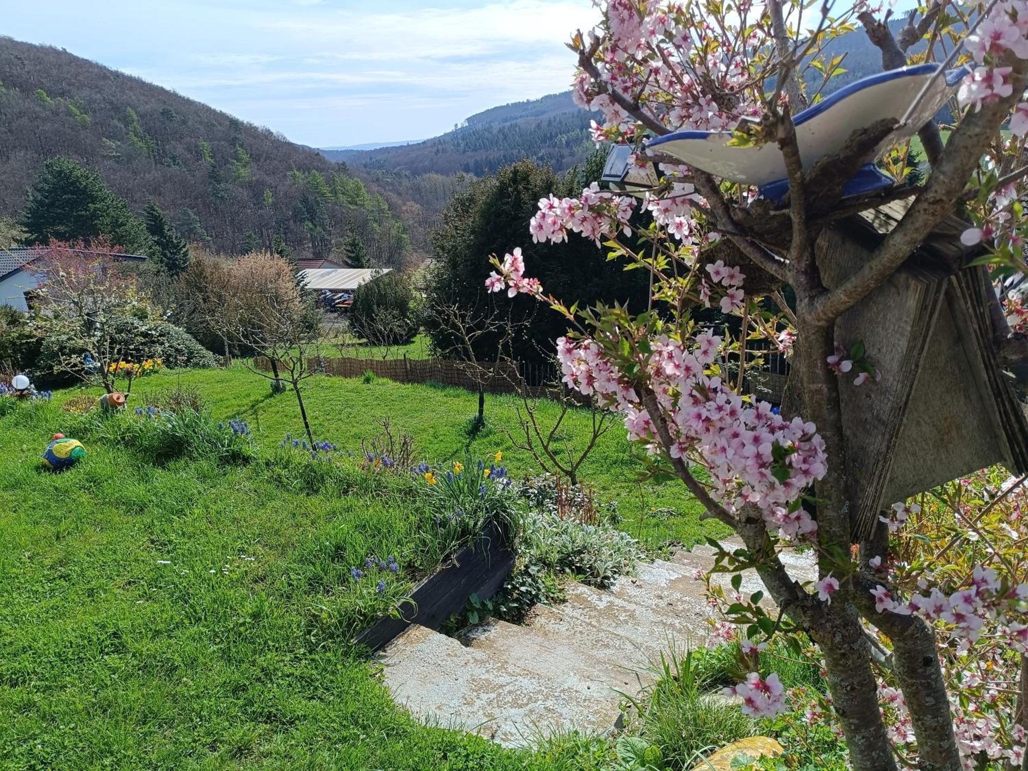 Ferienwohnung Zum Maerchenwald Bergfreiheit Экстерьер фото